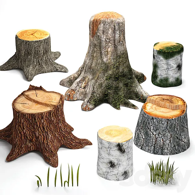 Tree stumps collection & grass 3D Model