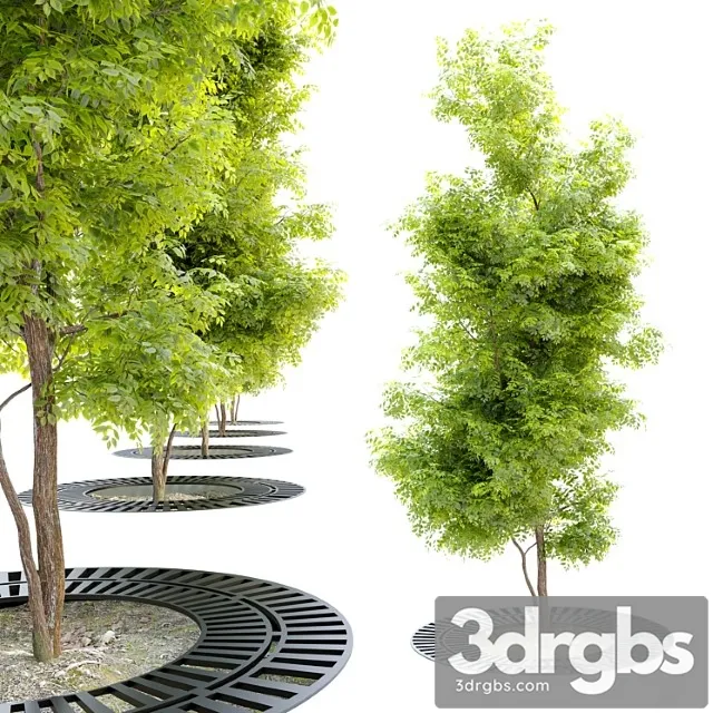 Tree With Metal Grate 3D Model Download