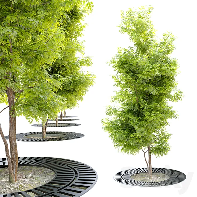 Tree with metal grate 3D Model