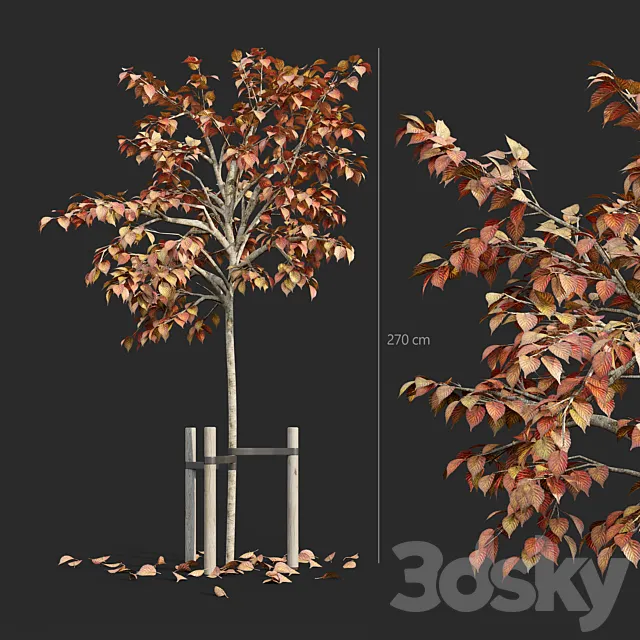 Tree with stake 01 3DModel