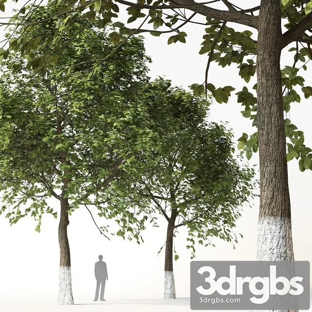 Trees 2 3D Model Download