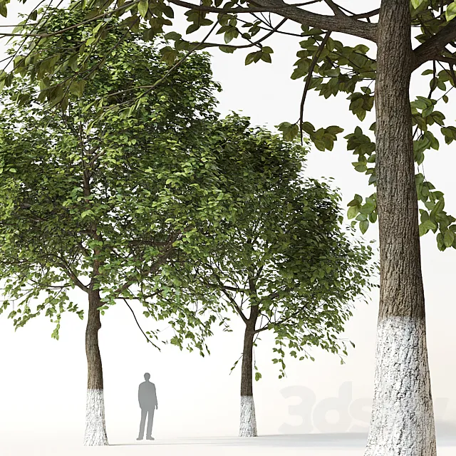 Trees 2 3DModel Trees 2 3DModel