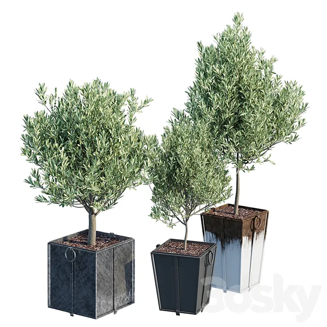 Trinway 3D Model Trinway 3D Model