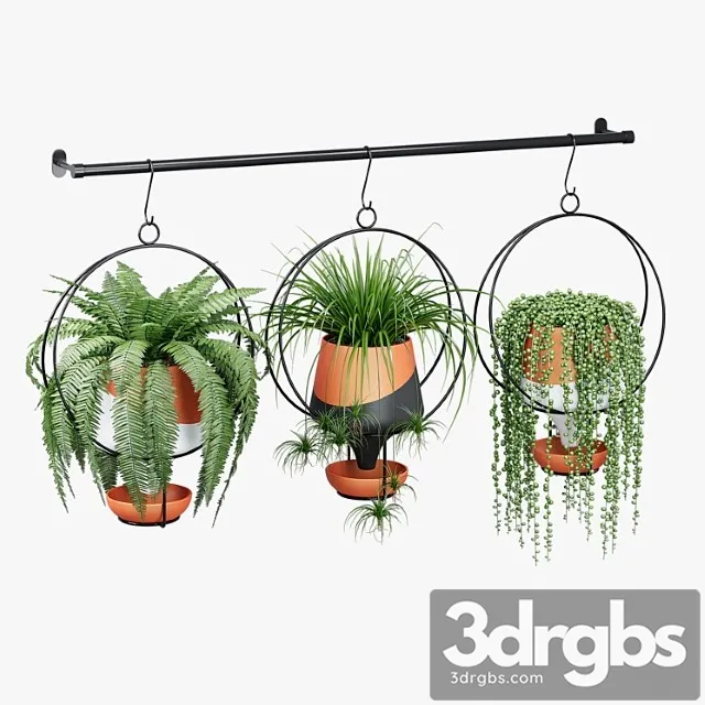 Triple stripe Triple stripe