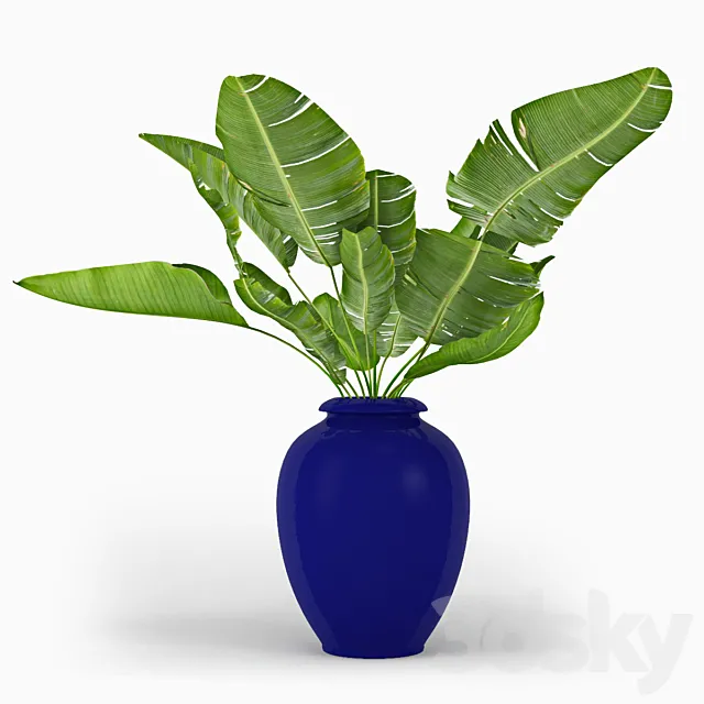 Tropical 3DModel Tropical 3DModel