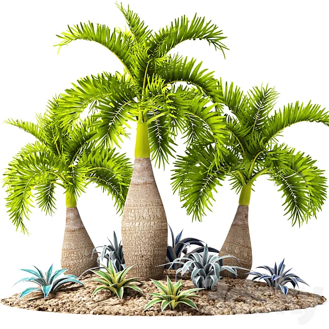 Tropical garden. flowerbed. landscaping. agave. thicket. tropical. exotic. palm 3DModel Tropical garden. flowerbed. landscaping. agave. thicket. tropical. exotic. palm 3DModel