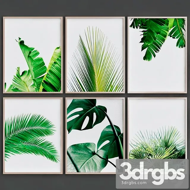 Tropical leaves 3D Model Download
