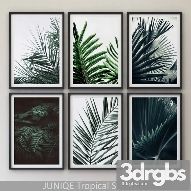 Tropical Set 01 Framed 3D Model Download