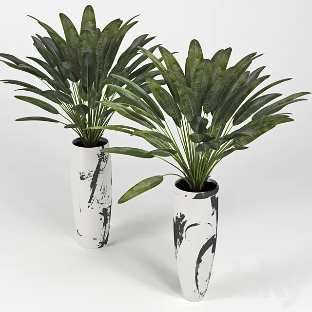 Tropical_3 3DModel Tropical_3 3DModel