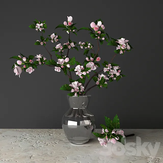 tsyvety apple 3DModel tsyvety apple 3DModel