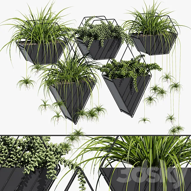 Tulan hanging planter 3D Model Tulan hanging planter 3D Model