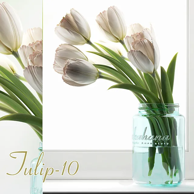 Tulip 10 3DModel Tulip 10 3DModel