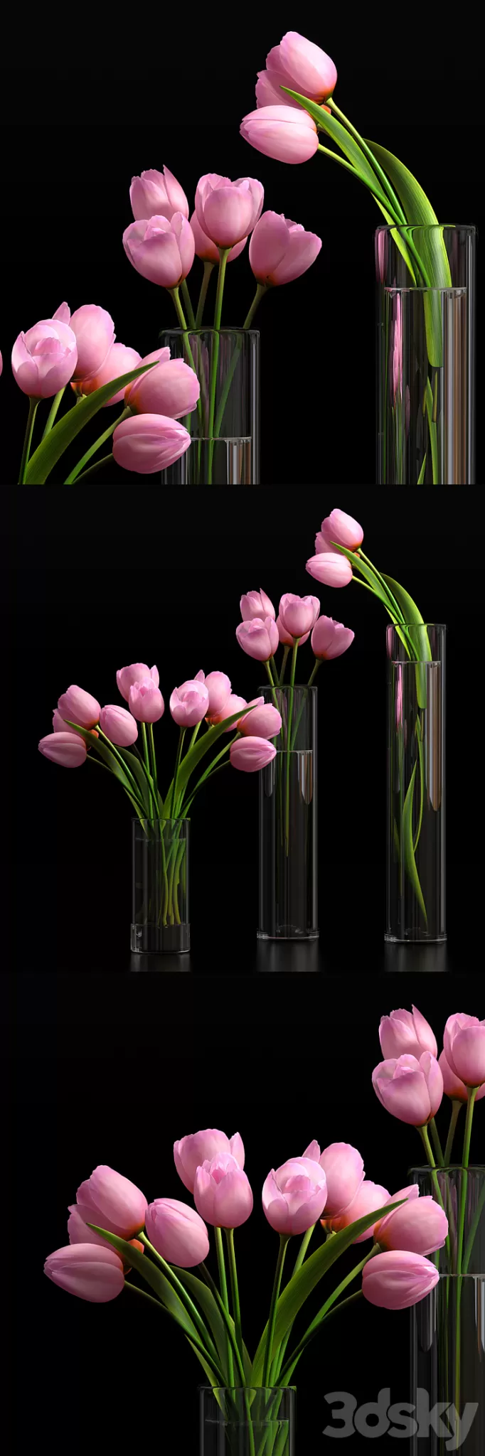 TULIP 5 3D Model