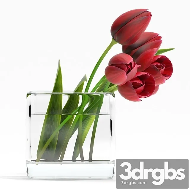 Tulip4 3D Model Download Tulip4 3D Model Download