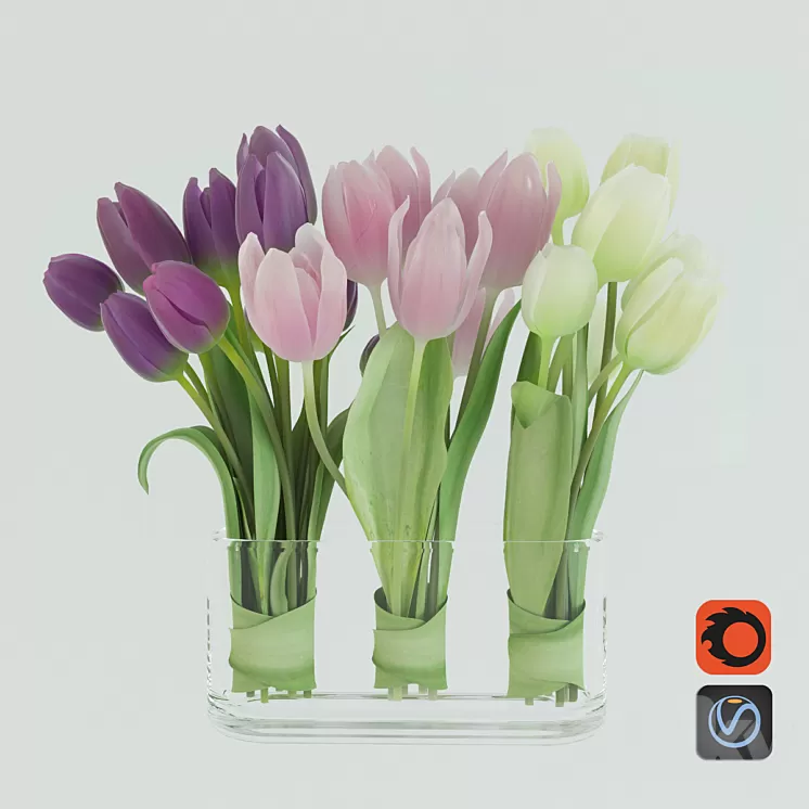 Tulips 3D Model