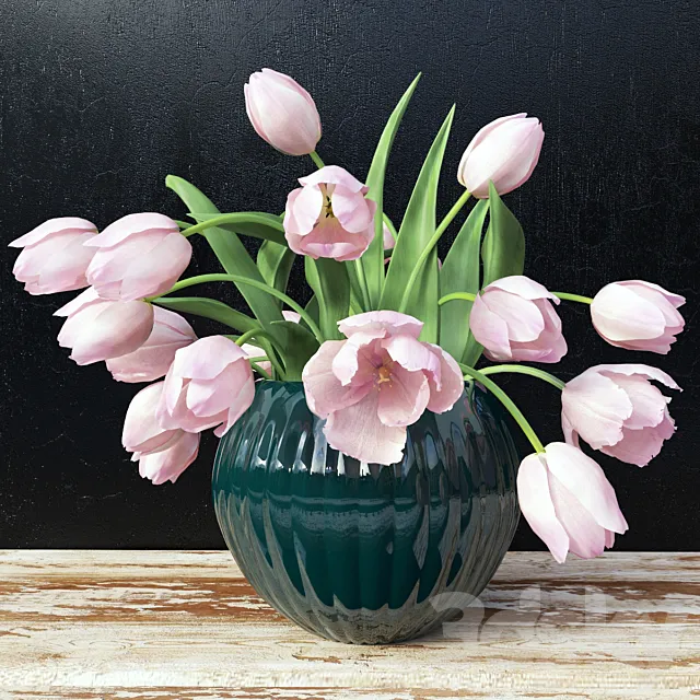 tulips 3DModel
