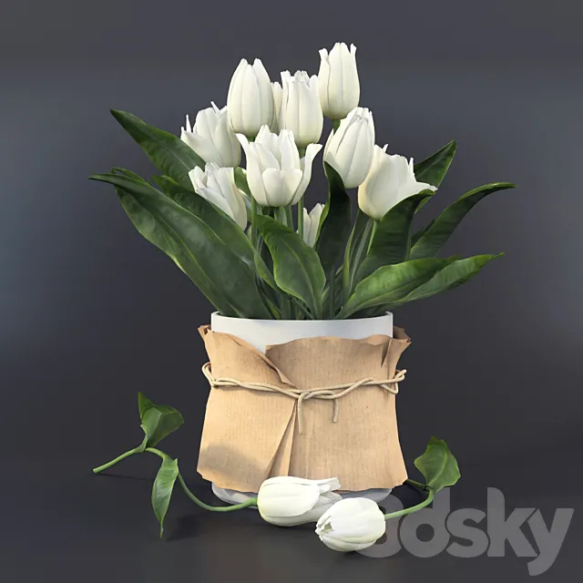 Tulips 3DModel