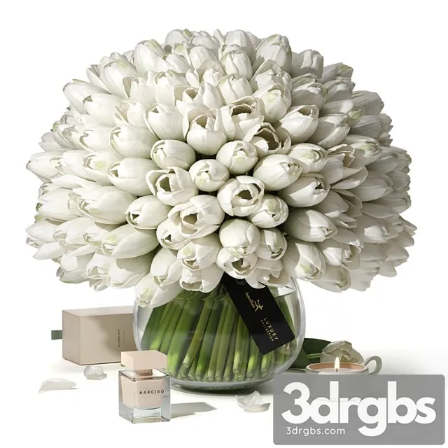 Tulips interflora luxury collection Tulips interflora luxury collection