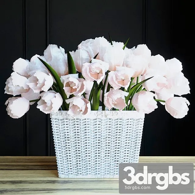 Tulle Paniya In Basket 3D Model Download Tulle Paniya In Basket 3D Model Download
