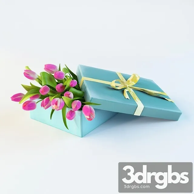 Tulle Paniya In Box 3 3D Model Download Tulle Paniya In Box 3 3D Model Download