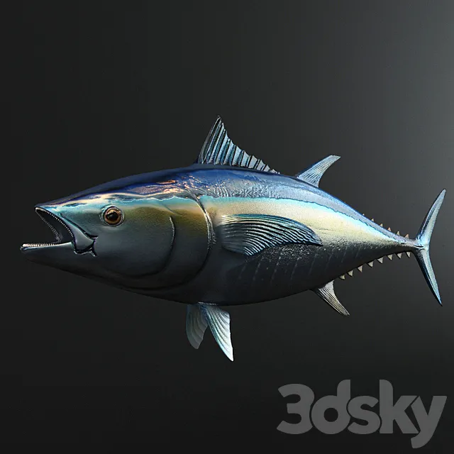 Tuna Fish 3D Model