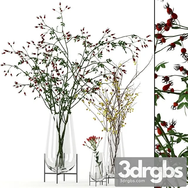 Twigs in echasse vases Twigs in echasse vases