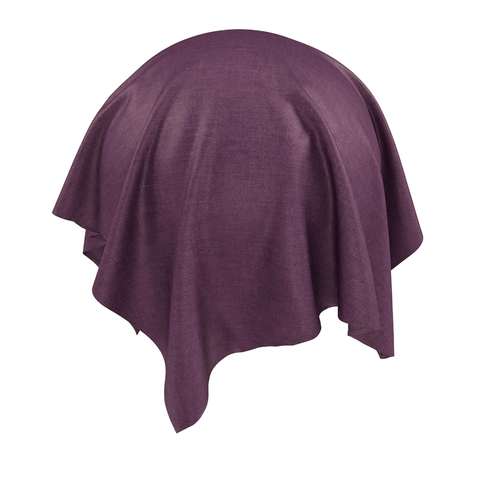 Twinbru – Plain Purple Velvet 2372329 3D Model