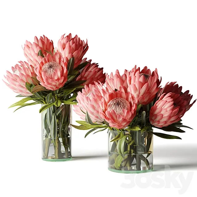 Two bouquets of proteas in glass vases 3D Model Two bouquets of proteas in glass vases 3D Model