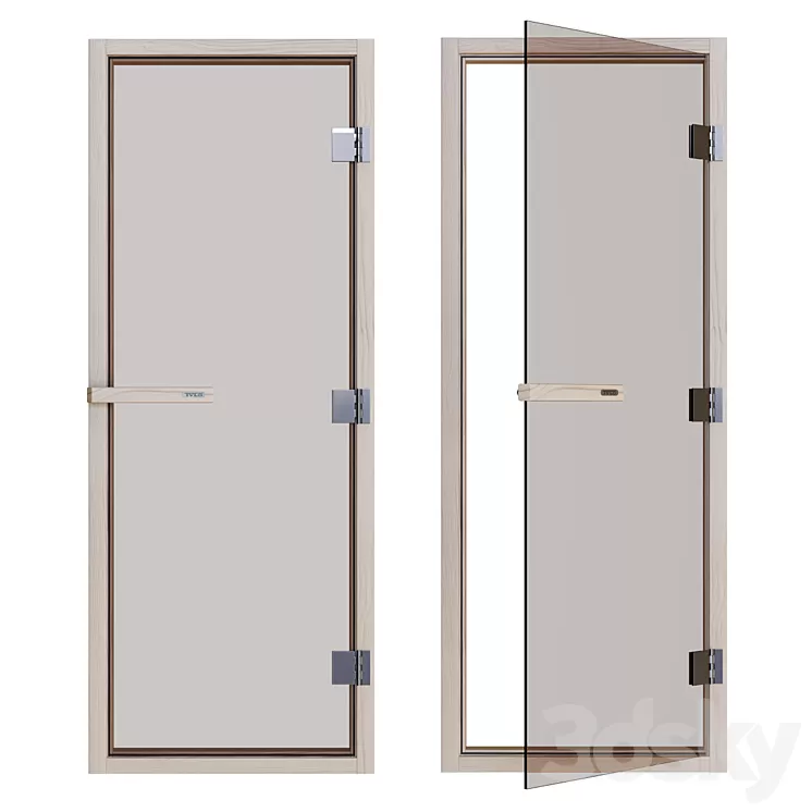 Tylo DGM Sauna Door 3D Model