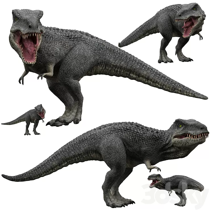 Tyrannosaurus rex 3D Model