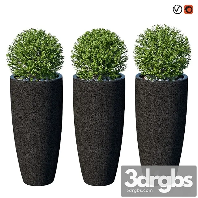 Ulichnye Kusty V Kashpo Viii 3D Model Download