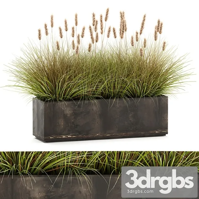 Ulichnyi Metallicheskii Gorshok V Kustami Pampasnaia Trava Vazon Klumba Kamysh 905 3D Model Download