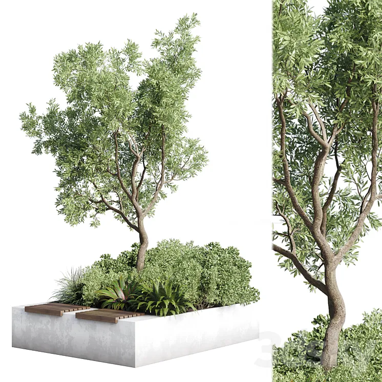 Urban Environment – Urban Furniture – Green Benches – Collection Plants and Tree 11 3D Model Free Download