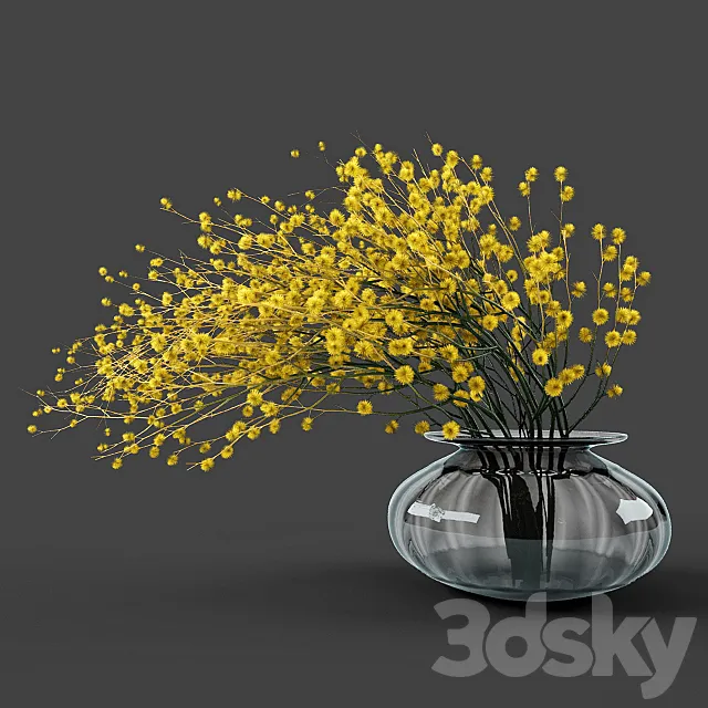 Vase acacia 3DModel