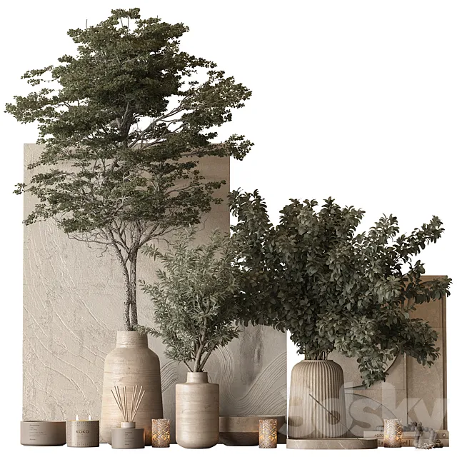 Vase and Plant Decorative Set 147 3D Model Vase and Plant Decorative Set 147 3D Model