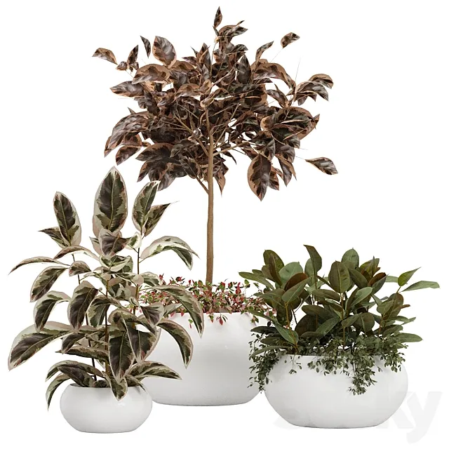 Vase Pack 8 3D Model