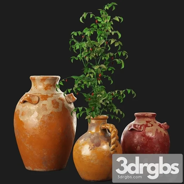 Vase Pottery barn sicily terra cotta vases 3D Model Download