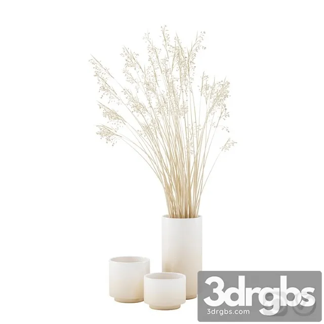 Vase set with dry grass Vase set with dry grass