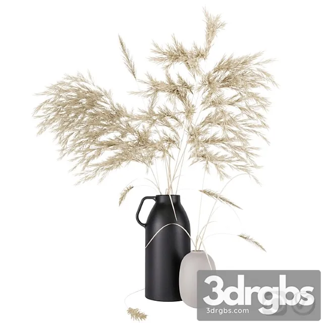 Vases set by h & m with pampas grass Vases set by h & m with pampas grass