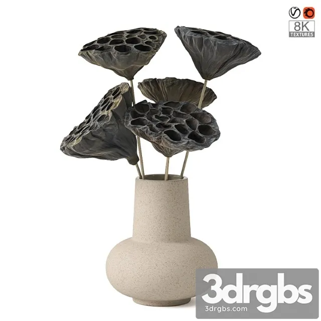Vases with dried plant Vases with dried plant