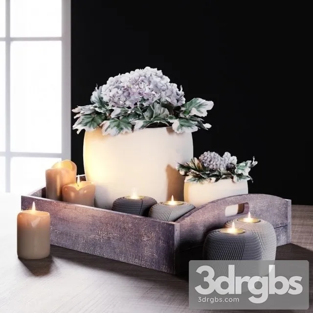 Vassoio Di Geranio 3D Model Download