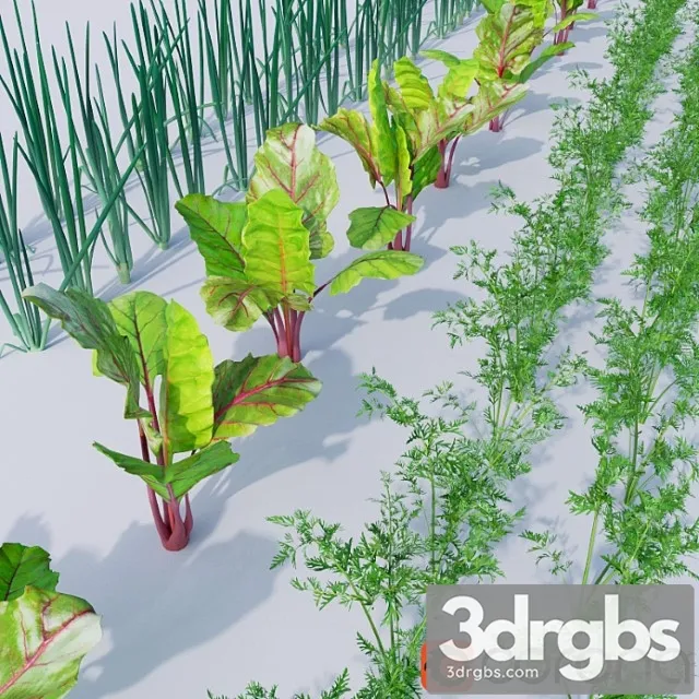 Vegetable Garden 1 3D Model Download