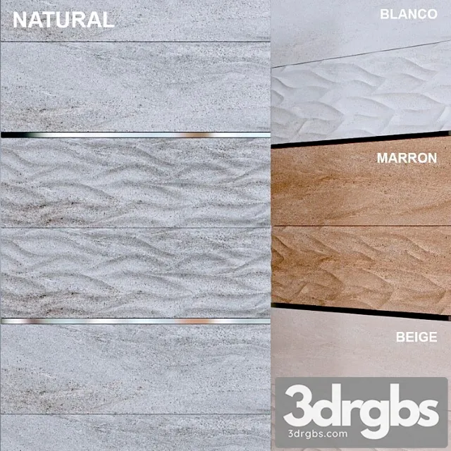 Venis madagascar ona 3D Model Download