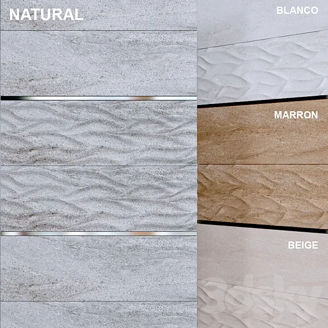 Venis madagascar ona 3D Model Venis madagascar ona 3D Model