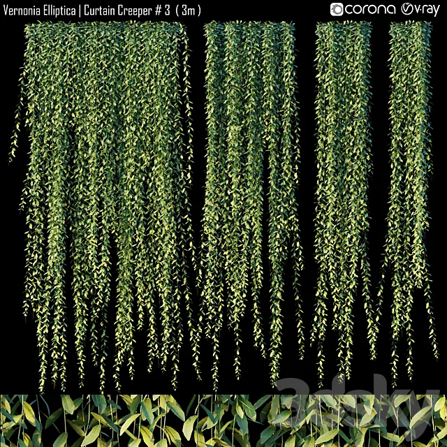 Vernonia Elliptica | Curtain Creeper # 3 (3m) 3DModel Vernonia Elliptica | Curtain Creeper # 3 (3m) 3DModel