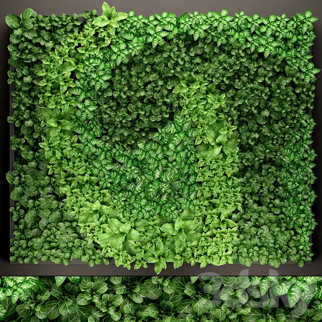Vertical garden 14. vertical garden green wall phytomodule eco design picture of flowers plants on the wall 3D Model Vertical garden 14. vertical garden green wall phytomodule eco design picture of flowers plants on the wall 3D Model