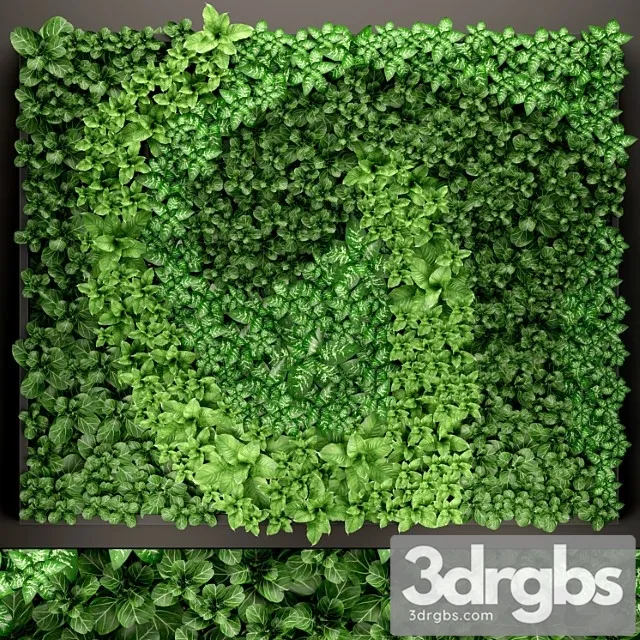 Vertical garden 14. vertical garden, green wall, phytomodule, eco design, picture of flowers, plants on the wall Vertical garden 14. vertical garden, green wall, phytomodule, eco design, picture of flowers, plants on the wall