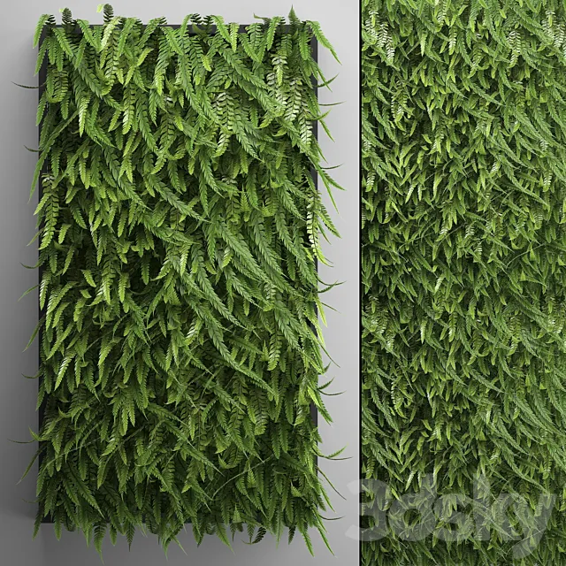 Vertical garden 17. FERN. Fern. phytowall. wall decor. phytomodule. bushes 3DModel Vertical garden 17. FERN. Fern. phytowall. wall decor. phytomodule. bushes 3DModel