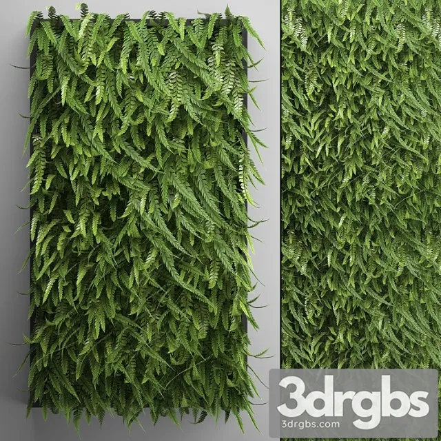 Vertical garden 17. fern. fern, phytowall, wall decor, phytomodule, bushes Vertical garden 17. fern. fern, phytowall, wall decor, phytomodule, bushes