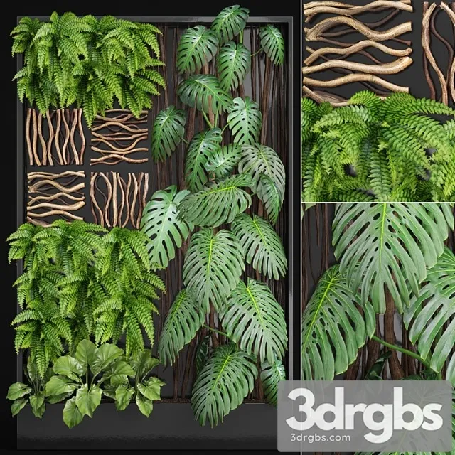 Vertical garden 2. vertical garden, phytowall, phytomodl, landscaping, green picture, bush, wall decor, branches, monstera, fern, alocasia, eco, eco decor, loft Vertical garden 2. vertical garden, phytowall, phytomodl, landscaping, green picture, bush, wall decor, branches, monstera, fern, alocasia, eco, eco decor, loft